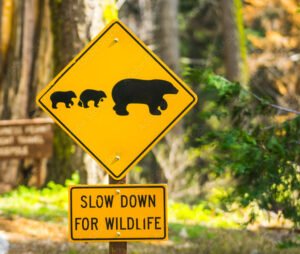 adobestock 345034797 preview